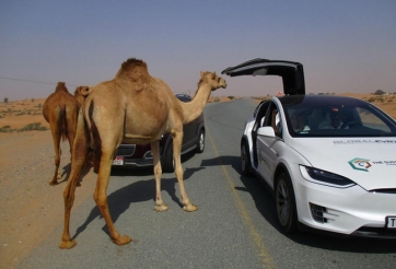 15 luật lệ giao thông 'dở khóc dở cười' nhất trên thế giới